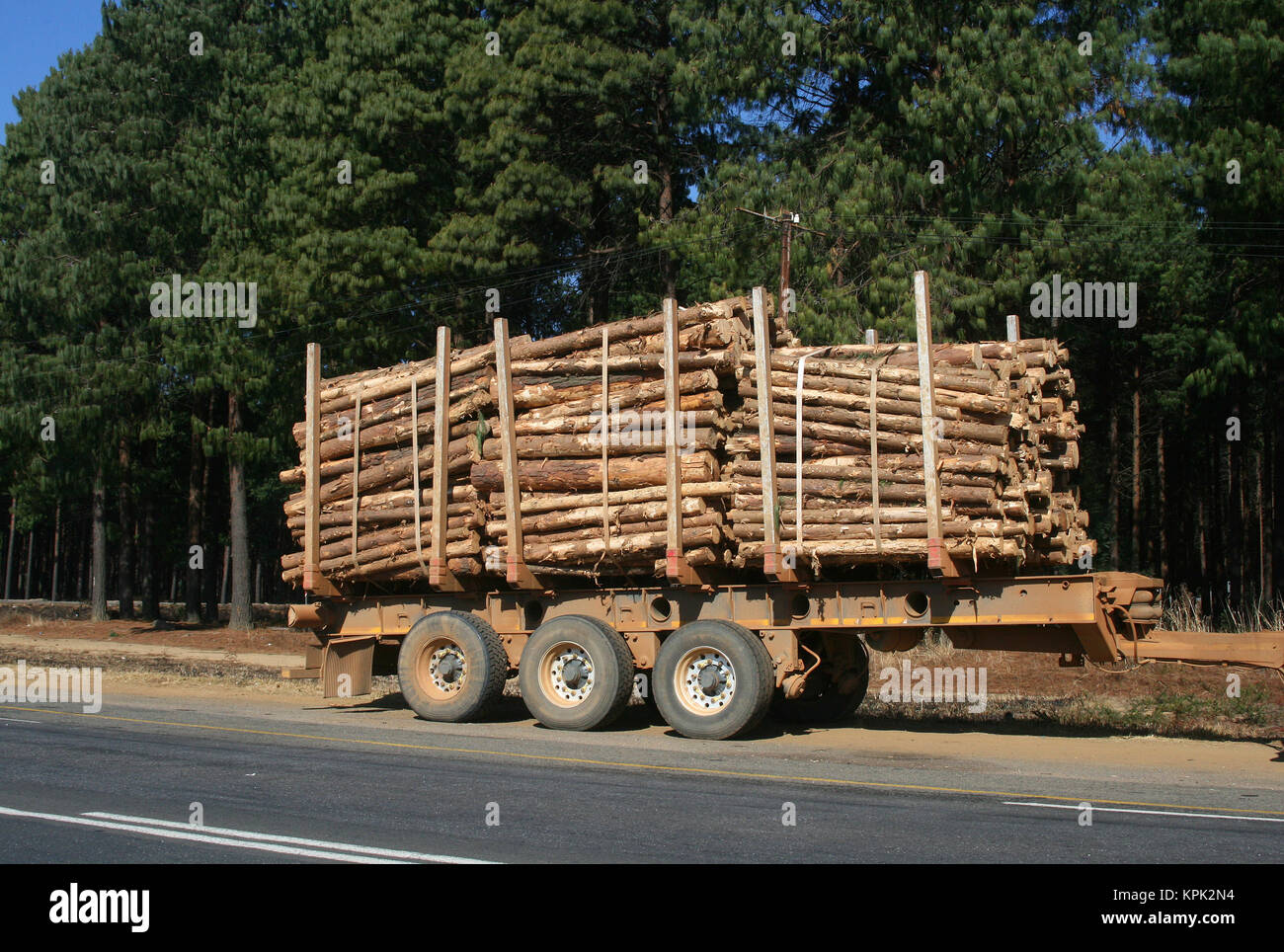 Holz träger Lkw auf der Seite der Straße geparkt, Königreich Swasiland. Stockfoto