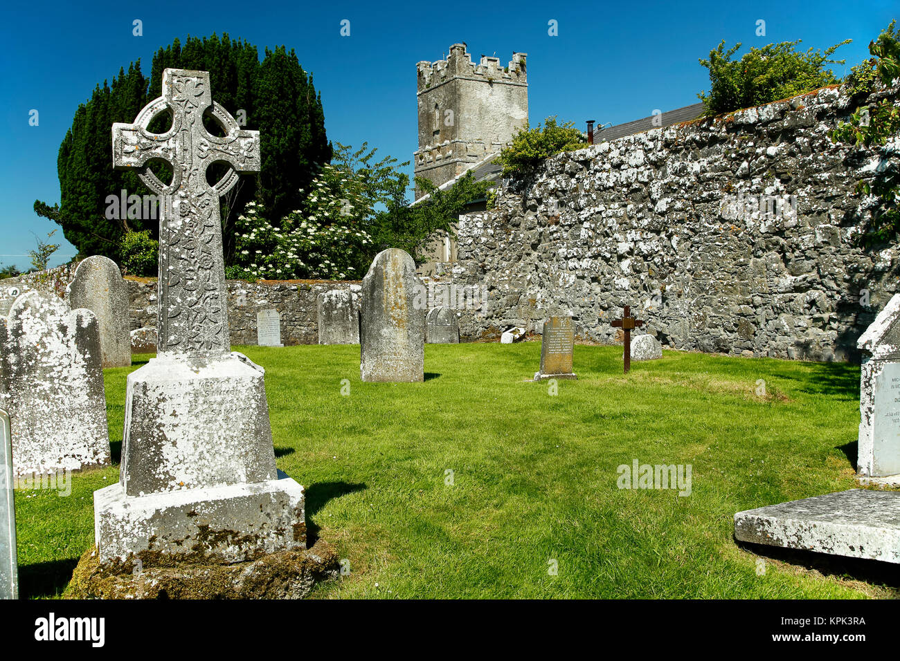 Kirche und Friedhof; Terryglass, County Tipperary, Irland Stockfoto