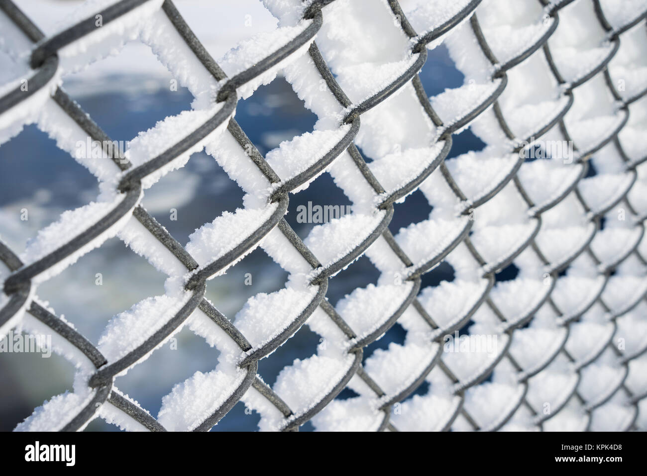 Ein Maschendrahtzaun in Schnee und Frost bedeckt; Minnesota, Vereinigte Staaten von Amerika Stockfoto