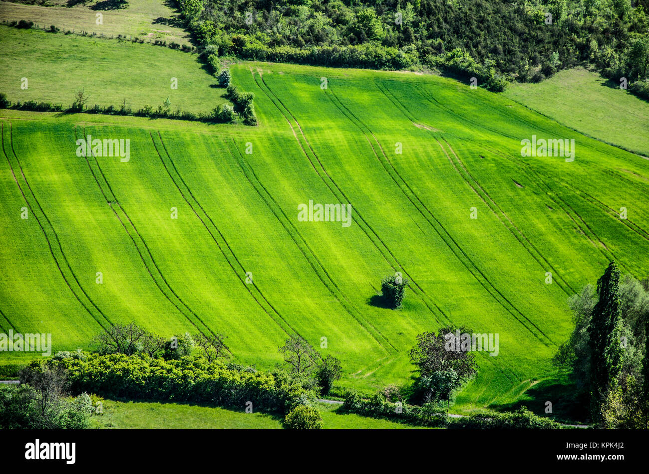 Blick auf die grünen Felder im Midi Pyrenäen Region im Süden von Frankreich geschnitzt. Stockfoto