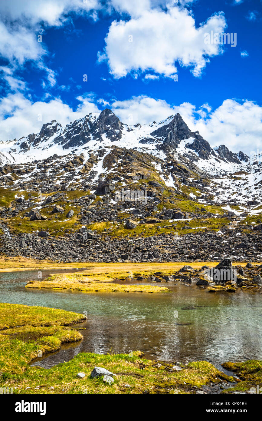 Reed Seen, Hatcher Pass; Palmer, Alaska, Vereinigte Staaten von Amerika Stockfoto