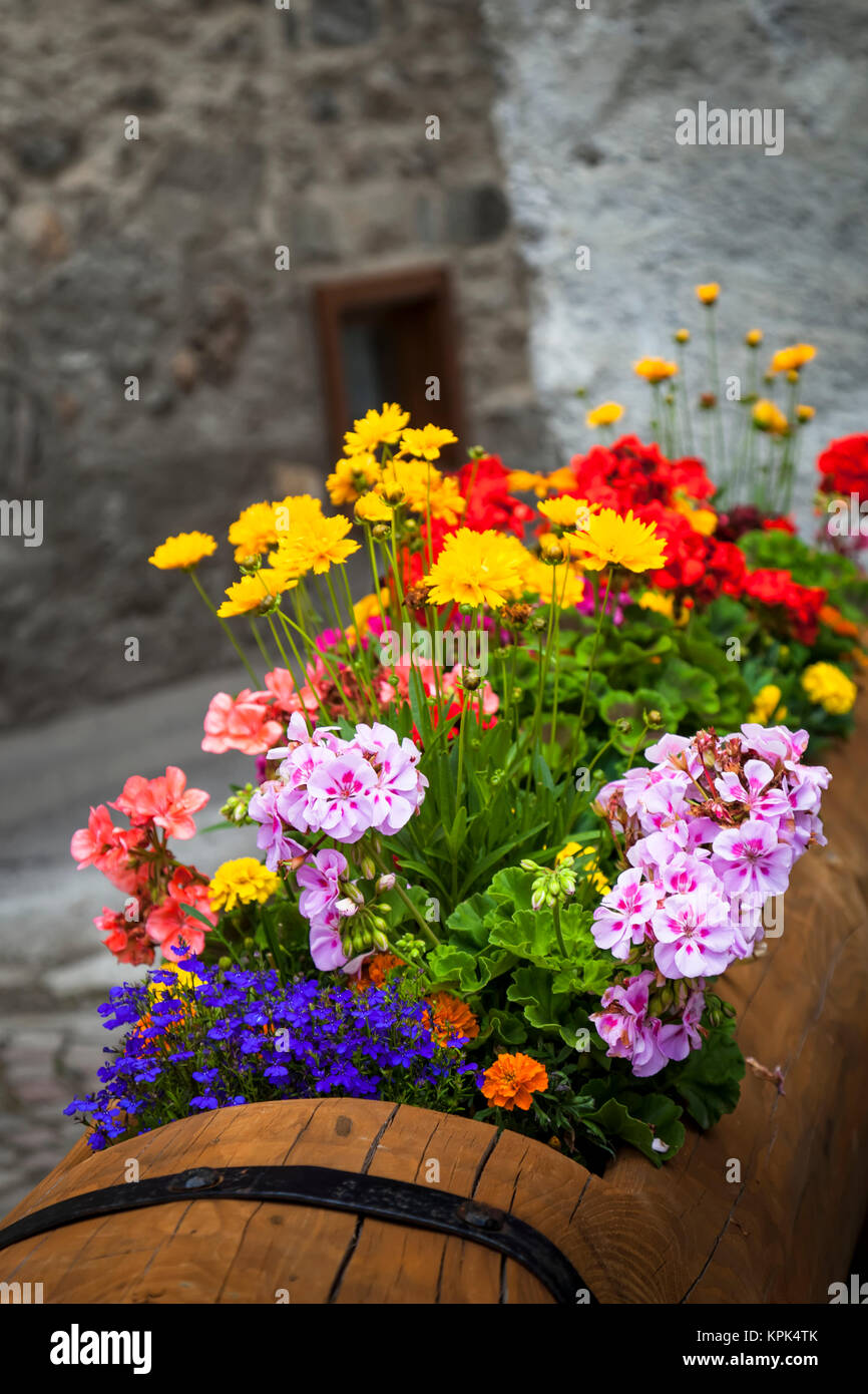 Farbenfrohe, blühende Blumen, die in einem hölzernen Blumentopf mit einer Steinmauer im Hintergrund entlang der alten Kopfsteinpflasterstraßen von Dolonne, in der Nähe von Cou... Stockfoto Farbenfrohe, blühende Blumen, die in einem hölzernen Blumentopf mit einer Steinmauer im Hintergrund entlang der alten Kopfsteinpflasterstraßen von Dolonne, in der Nähe von Cou... Stockfoto