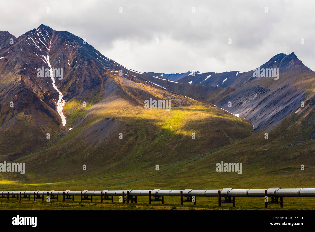 Der Trans-Alaska Pipeline durchquert über Tundra unter den Bergen der Brooks Range entlang der Dalton Highway, Alaska, Vereinigte Staaten von Amerika Stockfoto