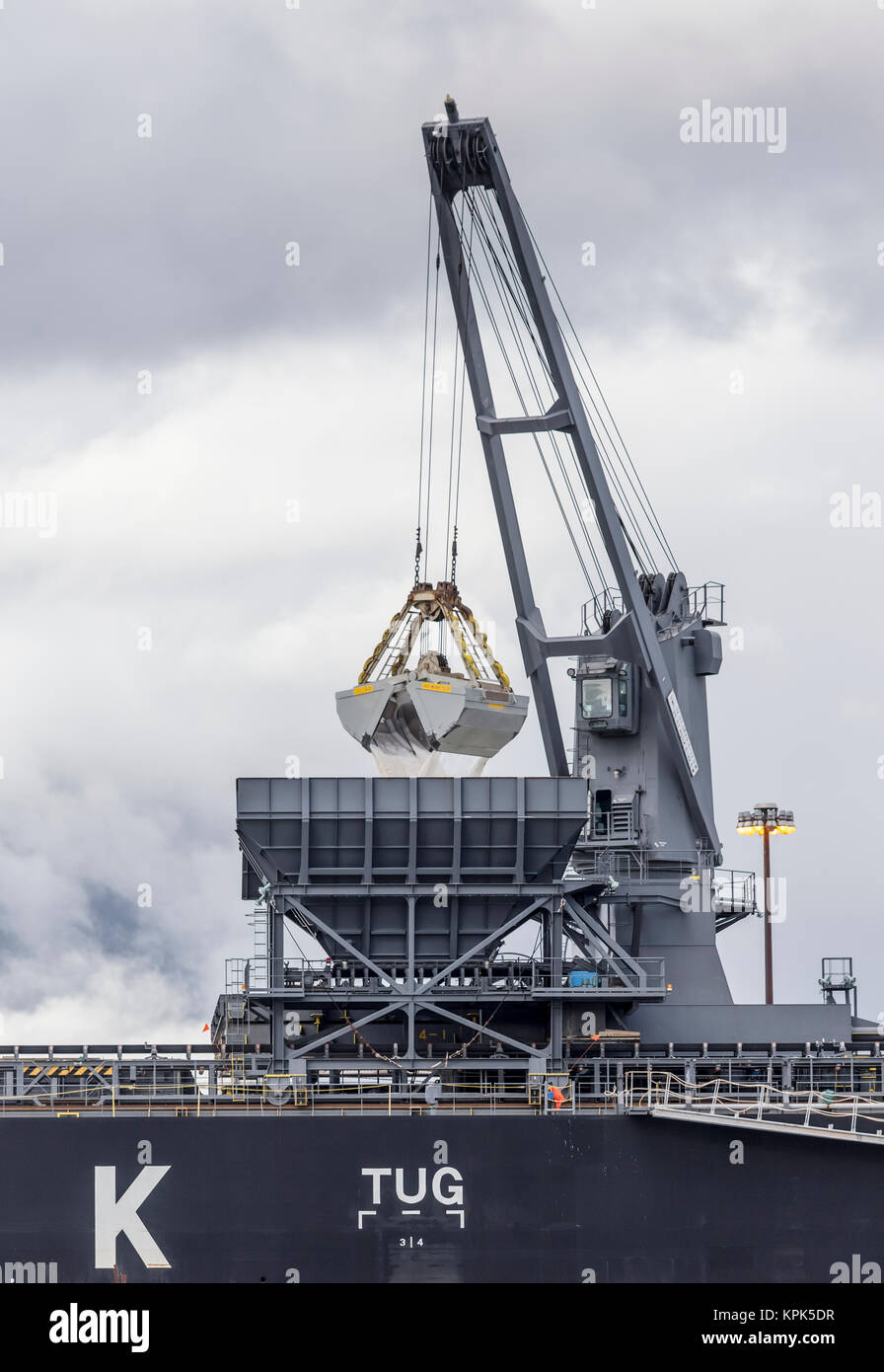 Ein großer Kran Schaufel attachment Einlagen Salz in einen Container schiff für den Export nach Übersee Sendung vom Hafen von Vancouver Stockfoto