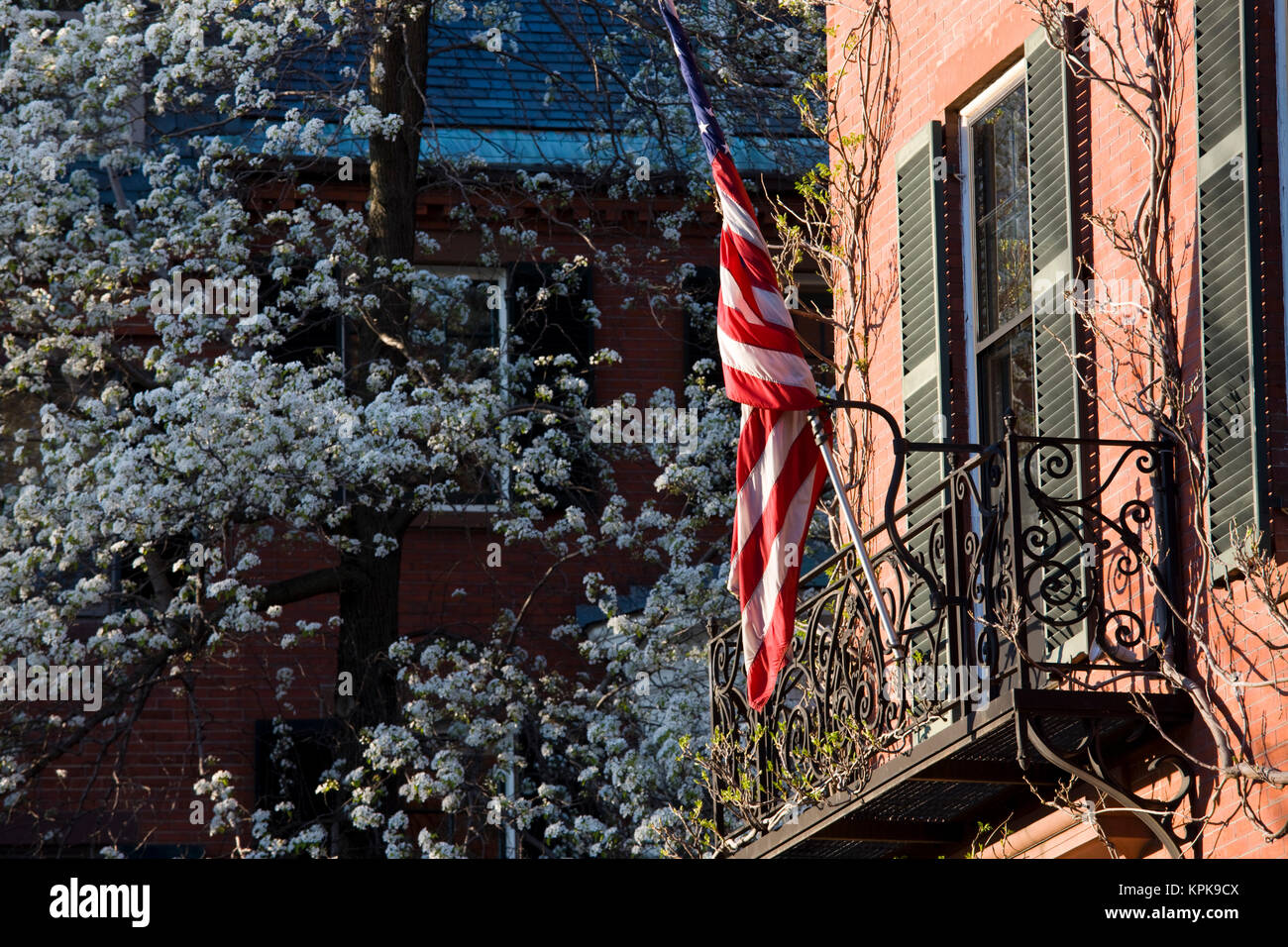 USA, Massachusetts, Boston, Beacon Hill. Louisburg Square, Frühling. Stockfoto