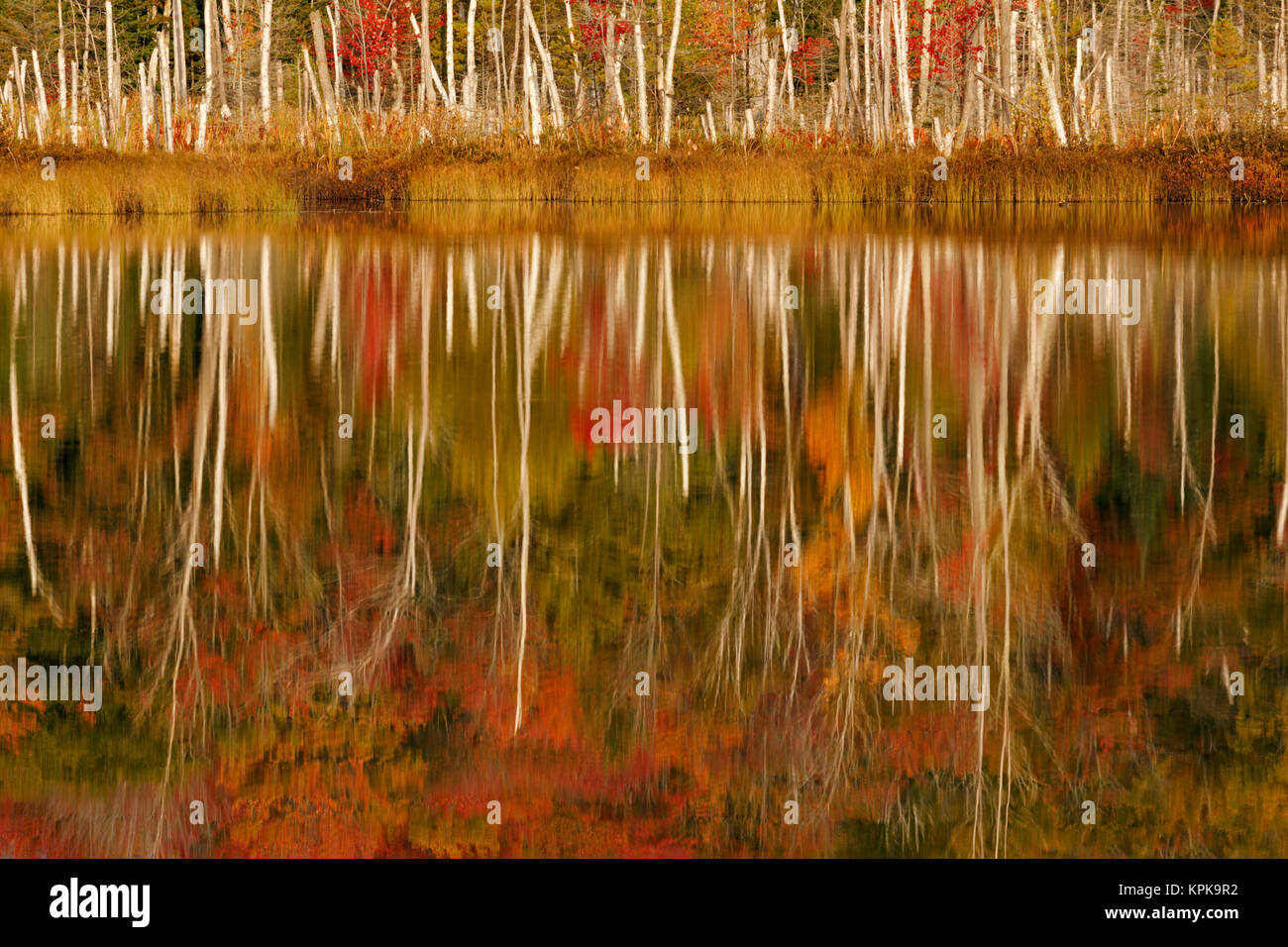 Red Jack Lake und Sunrise Reflexion, Alger Grafschaft, obere Halbinsel von Michigan. Stockfoto