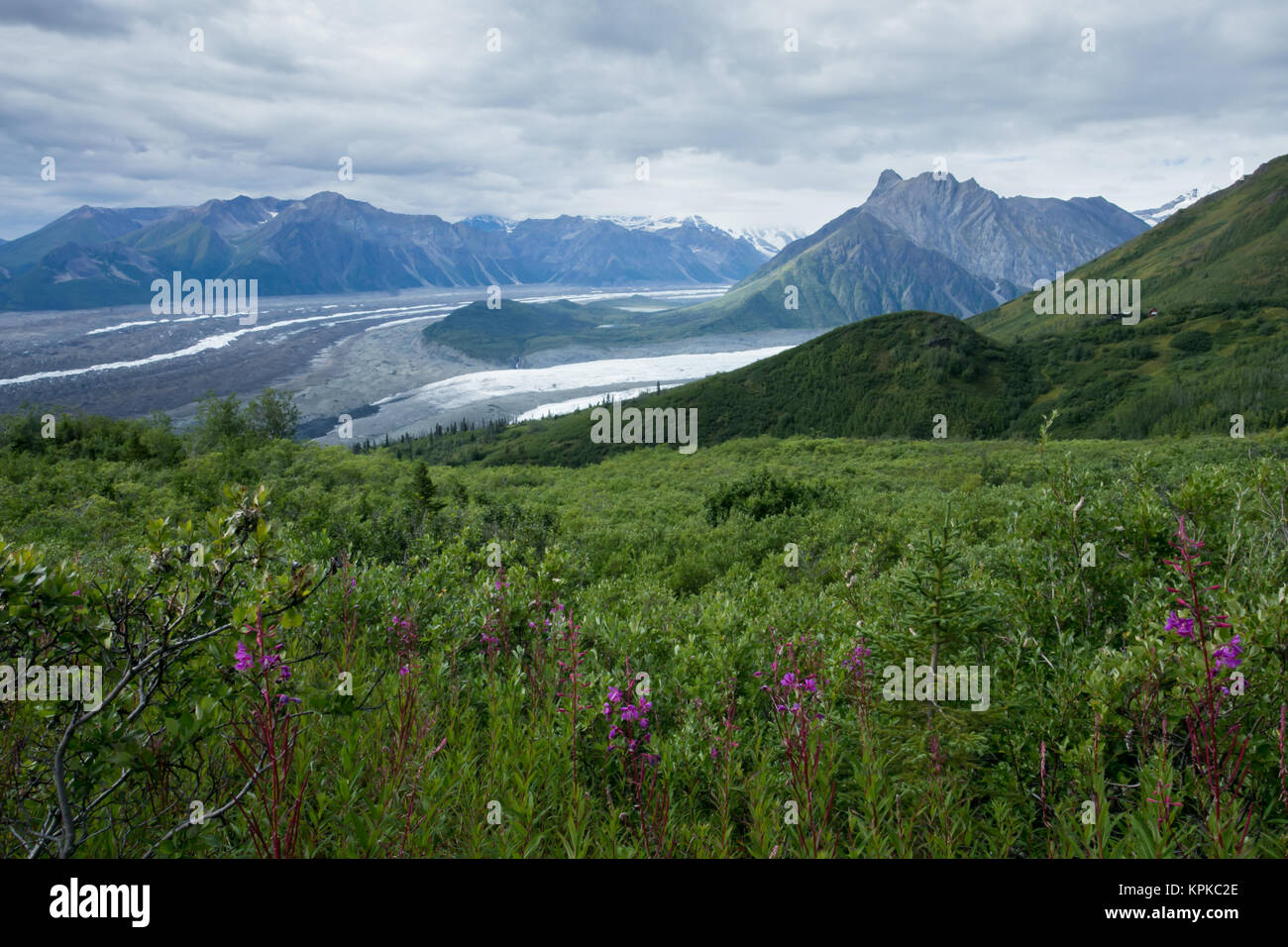 Donoho Peak und der Zusammenfluss von Root und Kennicott Gletscher, Wrangell-St. Elias National Park, Alaska Stockfoto