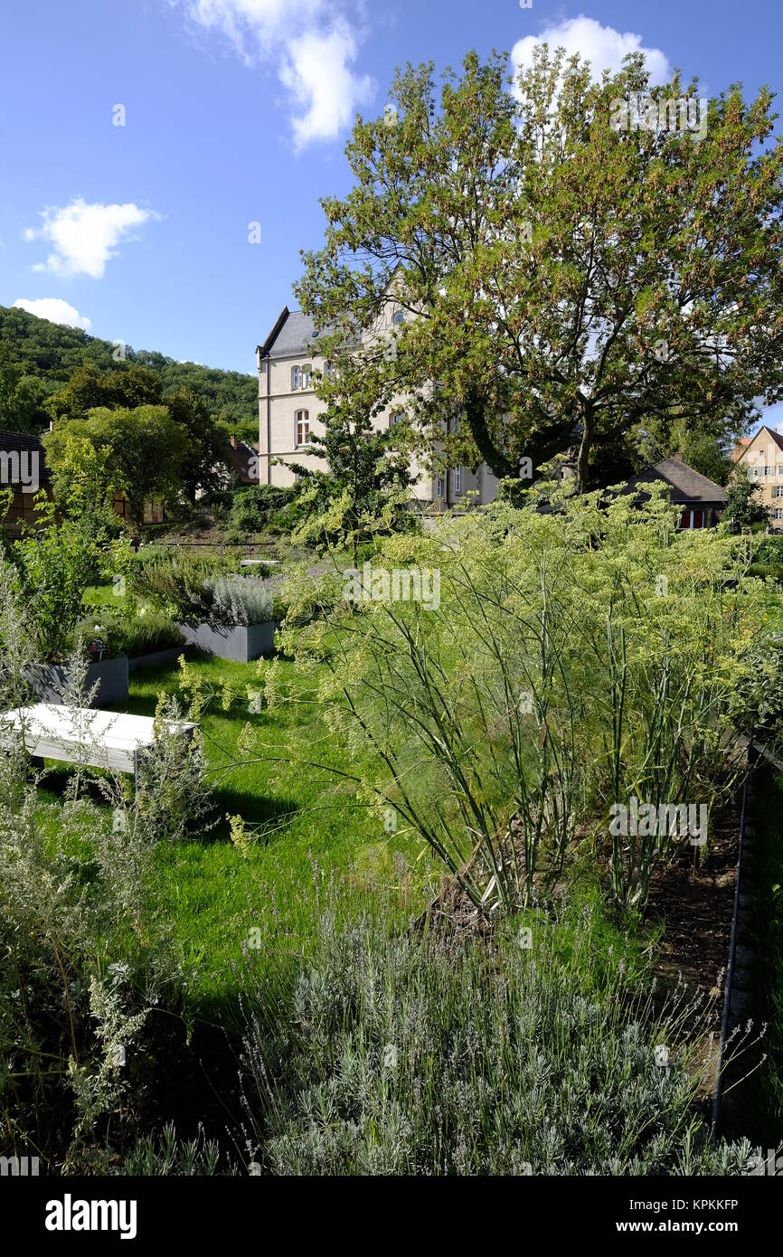 Kloster Schulpforte mit Klostergarten in Schulpforte bei Naumburg an der Straße der Romanik, Burgenlandkreis, Sachsen-Anhalt, Deutschland Stockfoto