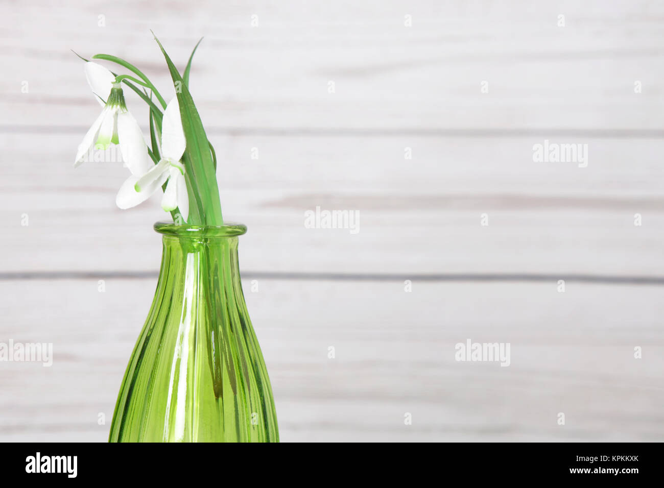 dones in einer grünen Vase vor einer Holzwand in Shabby Chic Stockfoto
