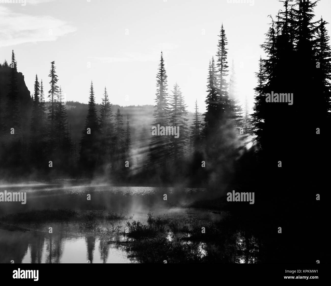 USA, Staat Washington, Mount Rainier National Park, Blick auf Sunbeam und Bäume im See (Large Format größen Spiegeln verfügbar) Stockfoto