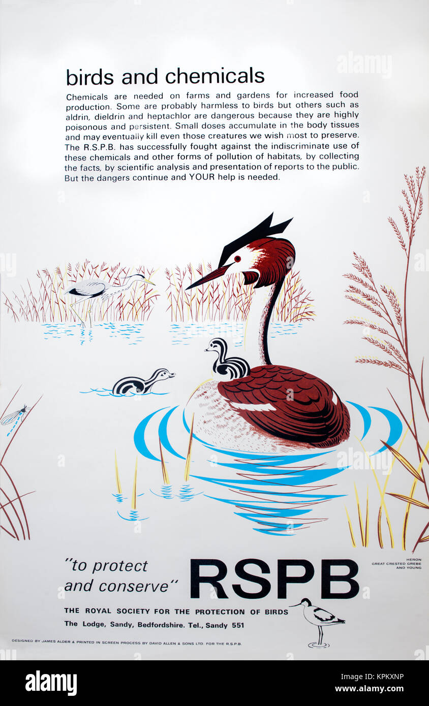 Birds and Chemicals-1960er Informationsposter, entworfen vom Künstler und Bildhauer James Alder. Für die Royal Society for the Protection of Birds (RSPB). Stockfoto