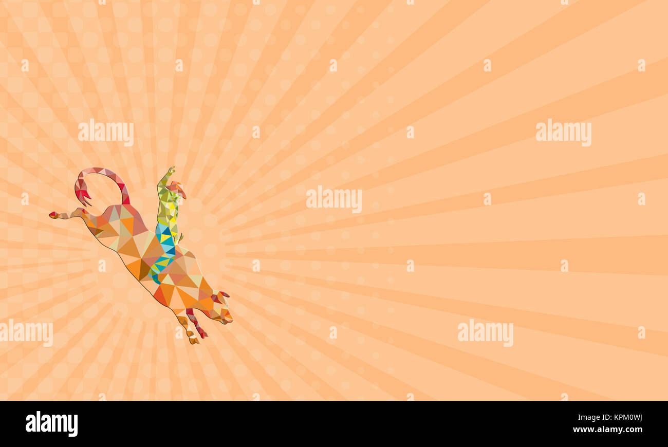 Business card Rodeo Cowboy Bullenreiten Low Polygon Stockfoto
