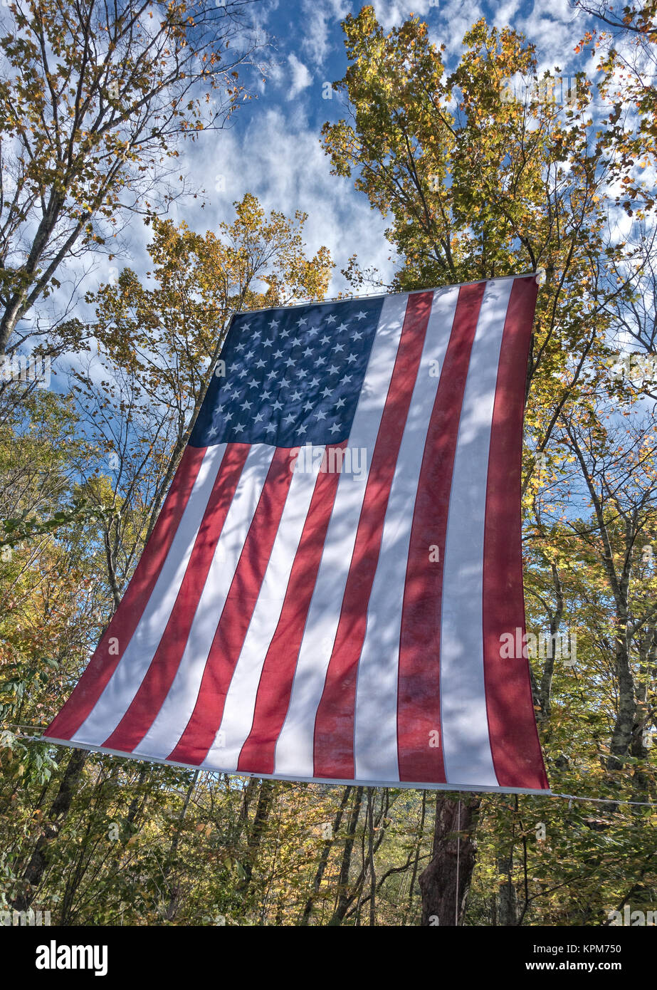 Amerikanische Flagge am Rand des Waldes Stockfoto