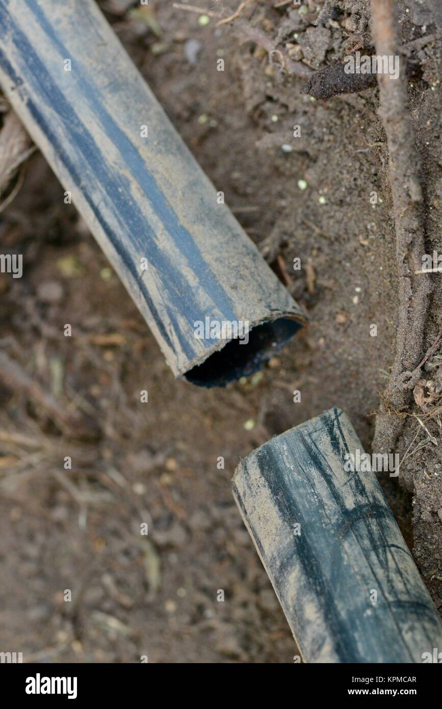 Schritt für Schritt Reihe auf Festlegung Bewässerungsrohre für ein Haus Garten, mit 19 mm polypipe, Townsville, Queensland, Australien Stockfoto