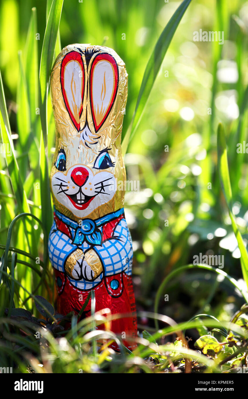 osterhase im Gras zu ostern im Garten in einem osterkorb Stockfoto