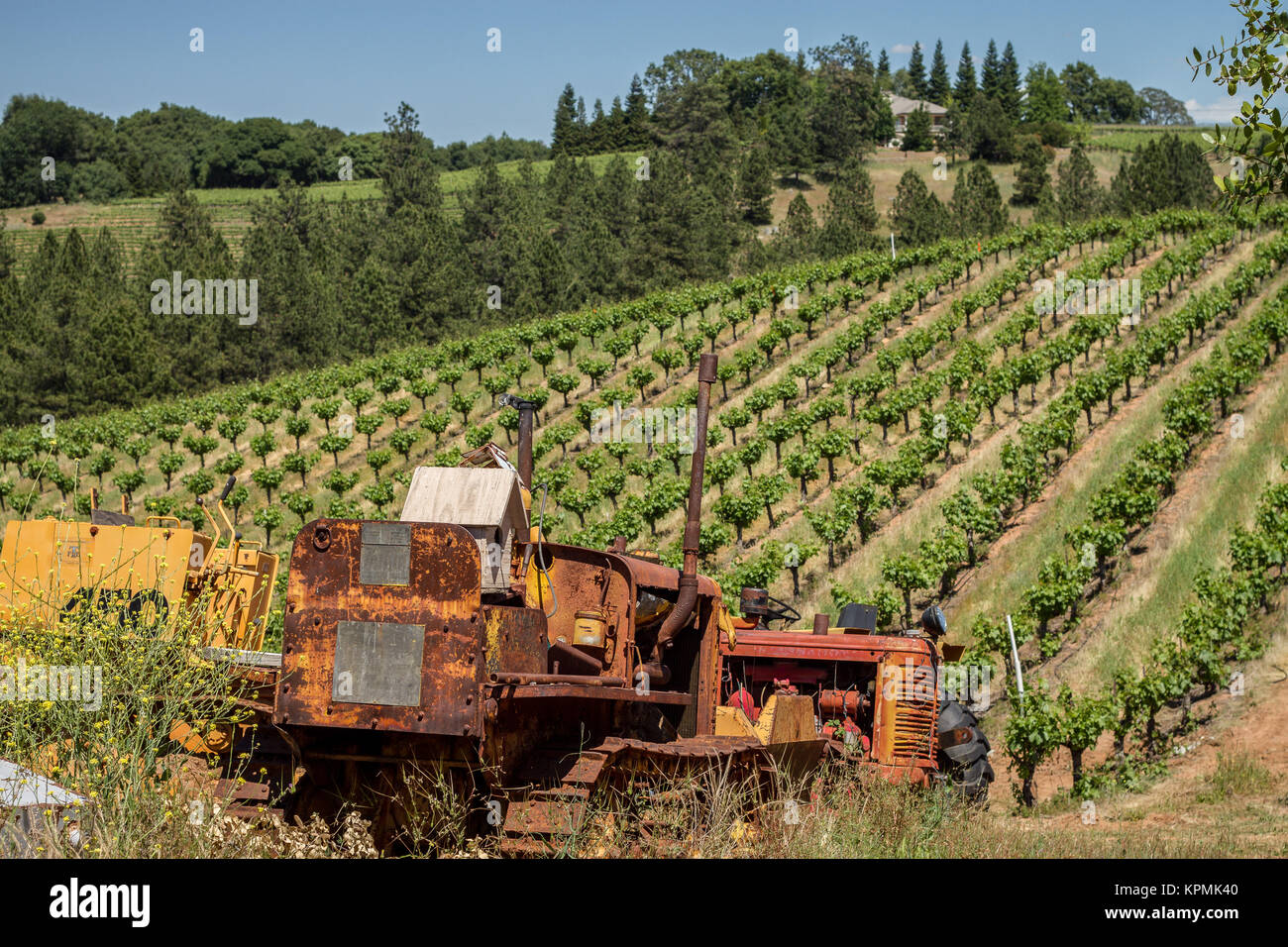 Amador County, CA Stockfoto