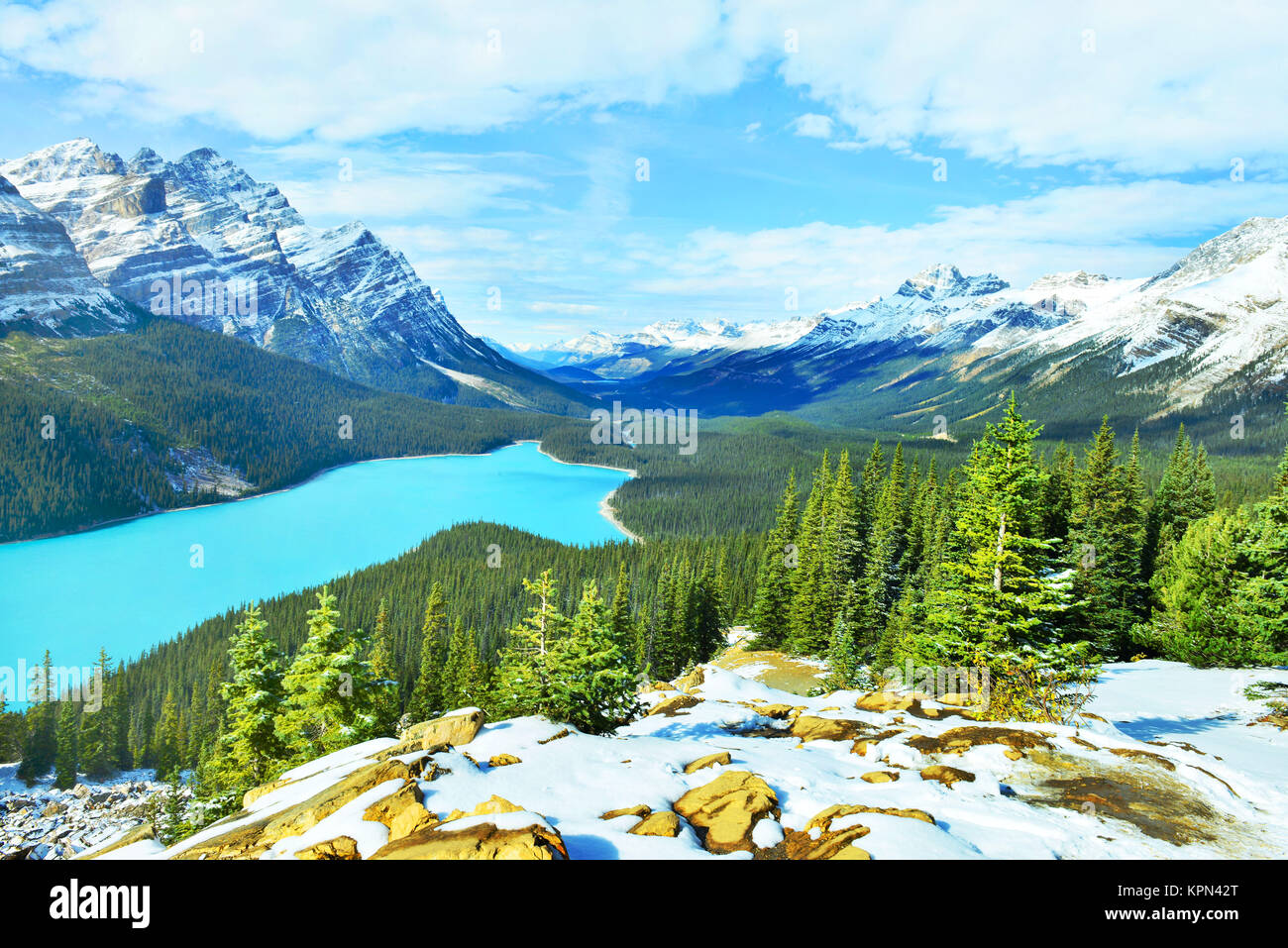 Blick vom Bug Gipfel des Peyto Lake im Banff National Park, Alberta, Kanada. Stockfoto