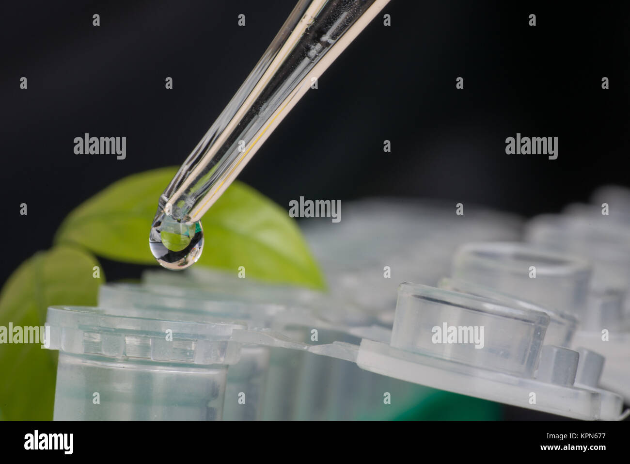 Close-up Mikro-zentrifugenröhrchen Stockfoto