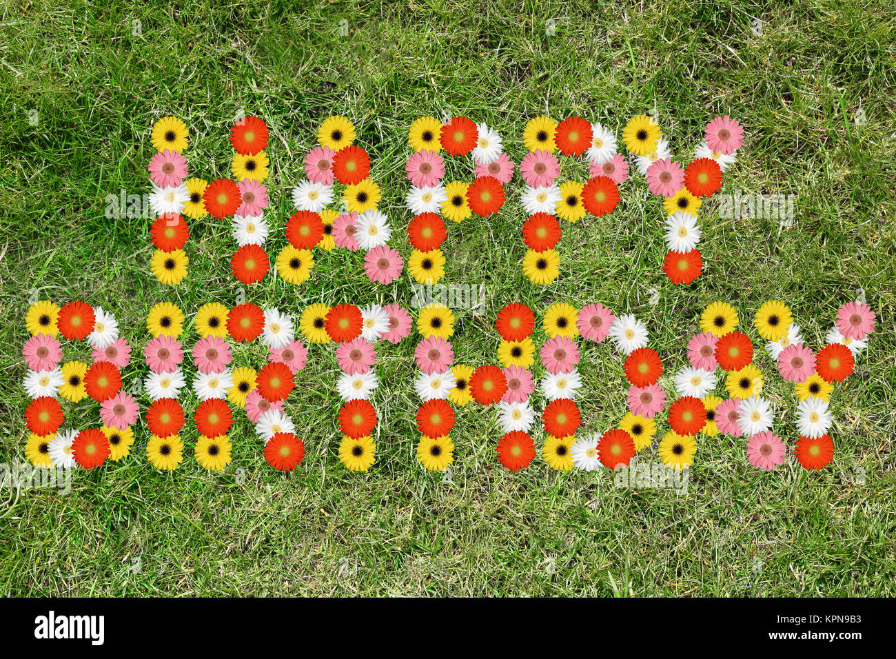 Herzlichen Glückwunsch zum Geburtstag, Jahrestag der Blume gras wiese Stockfoto