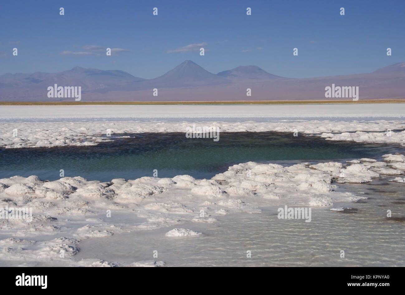 Salar de Atacama, Salzsee, Atacamawueste, Chile, Suedamerika - Salar de Atacama, salt Lake, Atacama-Wüste, Chile, Südamerika Stockfoto