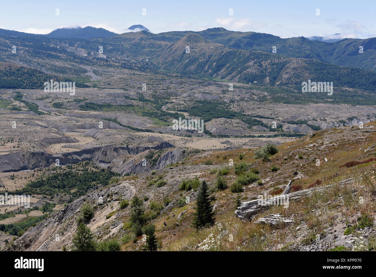 Der Vulkan Mount St. Helens im Staat Washington, USA Stockfoto