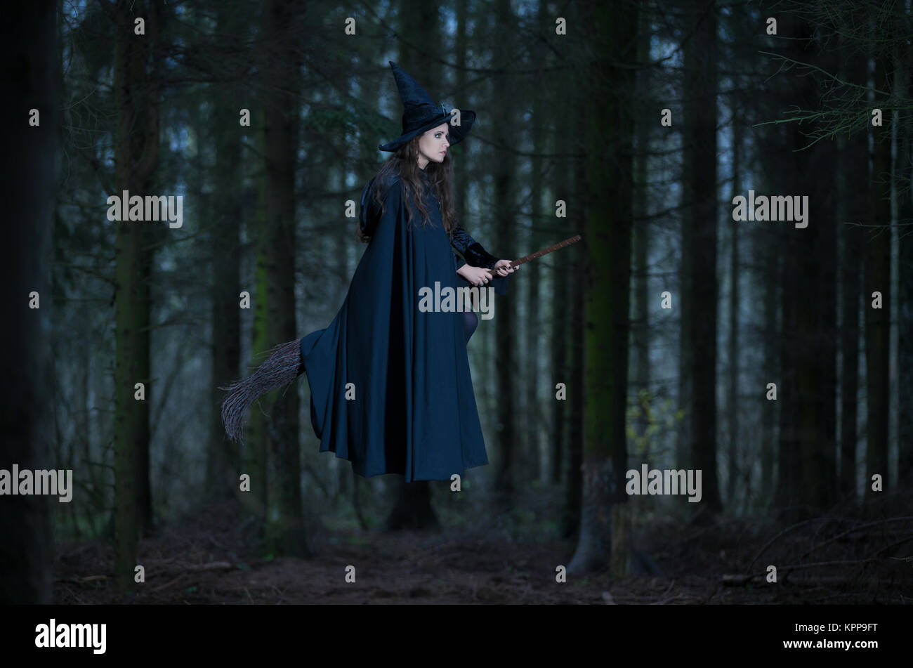 Hexe auf einem Besen fliegen in den Wald Stockfoto