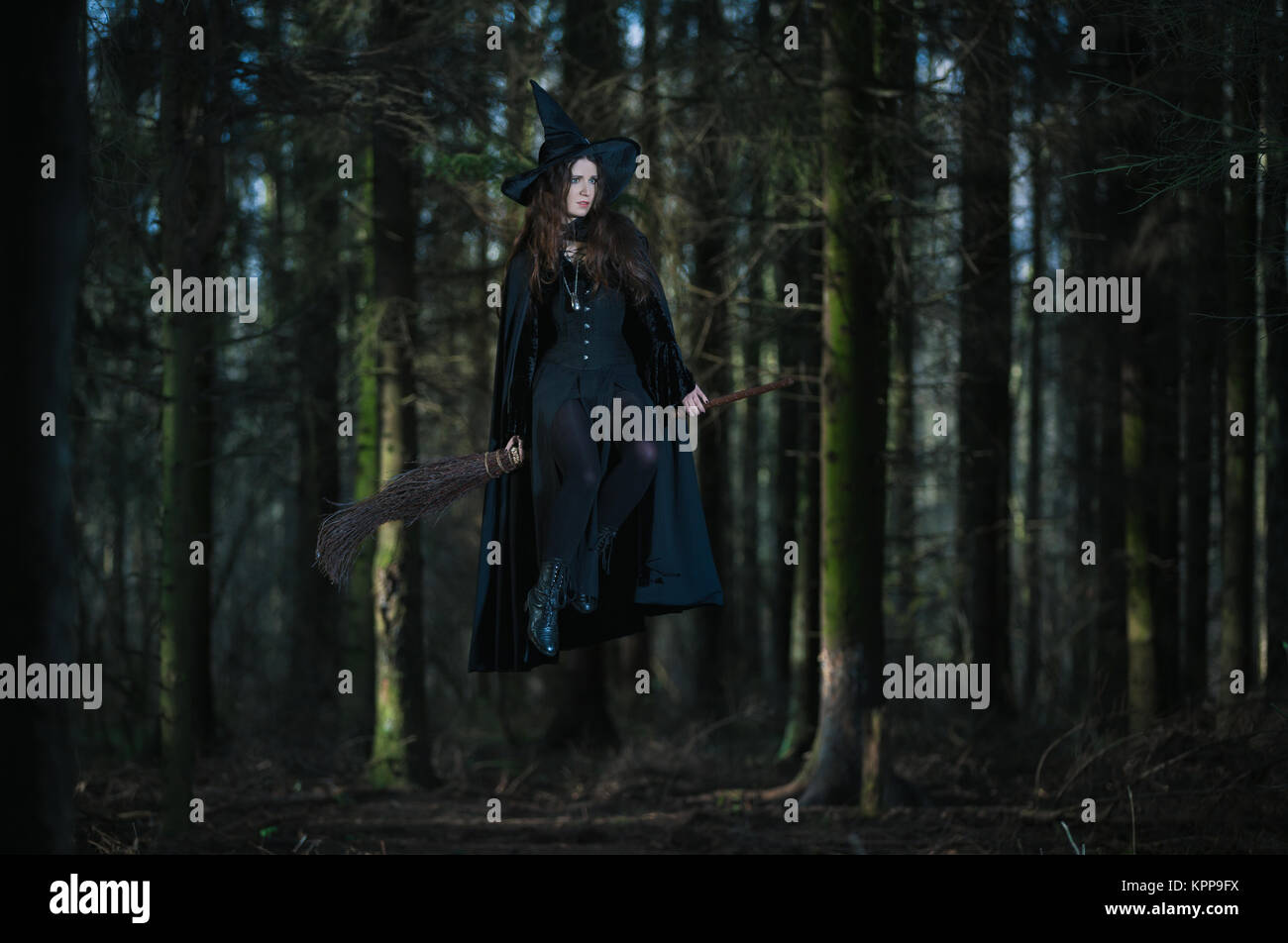 Hexe auf einem Besen fliegen in den Wald Stockfoto