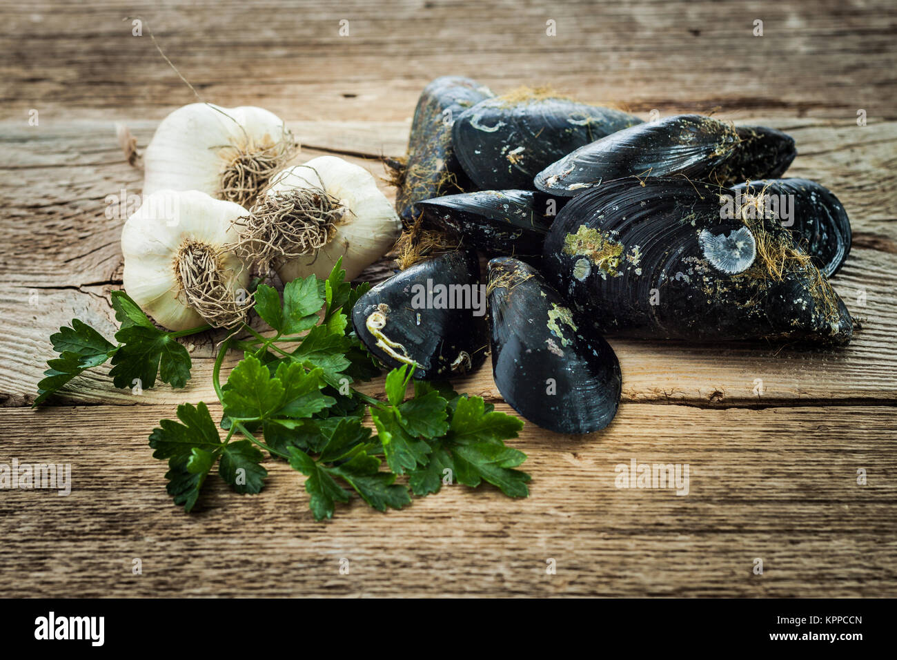 Rohe Muscheln Knoblauch und Petersilie auf alten Holztisch