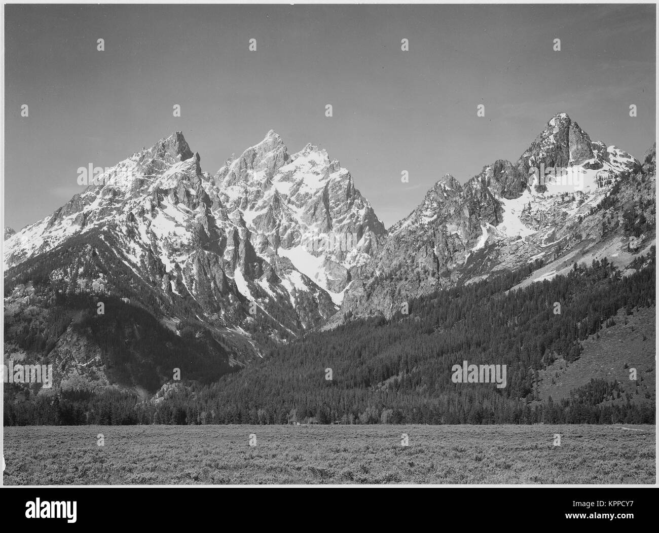 Grasbewachsene senke Baum Berg Seite und schneebedeckten Gipfeln Grand Teton National Park Wyoming, Geologie, Geologische. 1933 - 1942 Stockfoto
