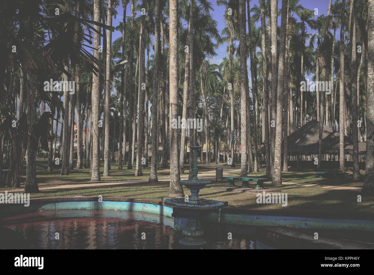 Palmentuin (Palm Garden) mit Springbrunnen in Paramaribo, Suriname Stockfoto