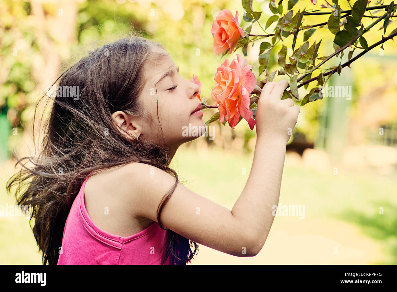 Kleines Mädchen duftende Rose Stockfoto