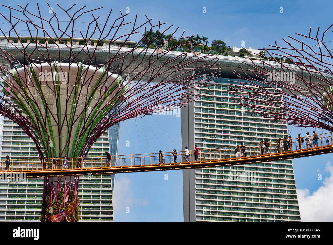 Die Supertrees im Garten an der Bucht in Singapur, Südostasien, Asien Stockfoto, Bild: 168916325 ...
