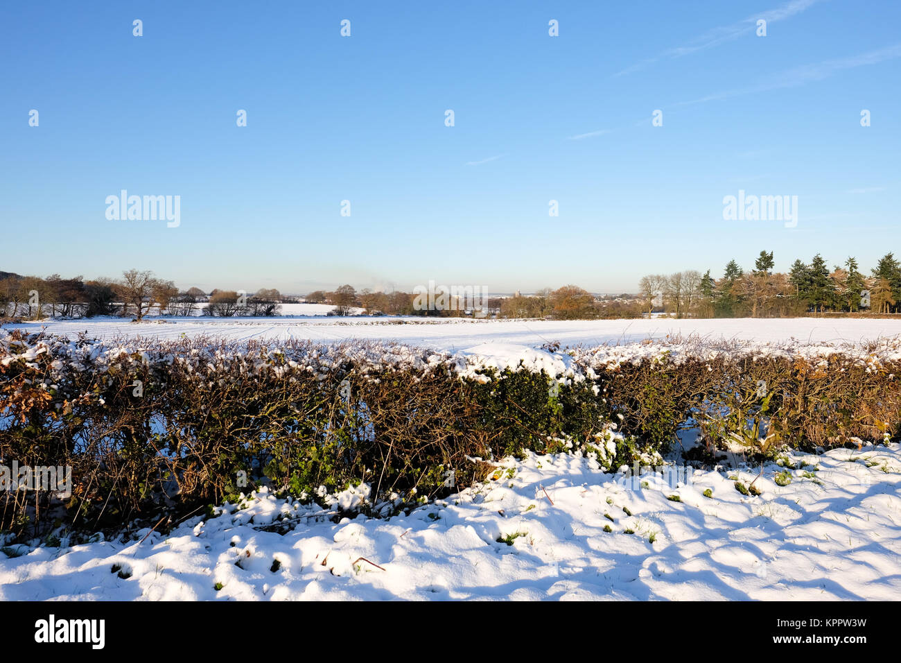 Verschneite Landschaft in Leicestershire Stockfoto