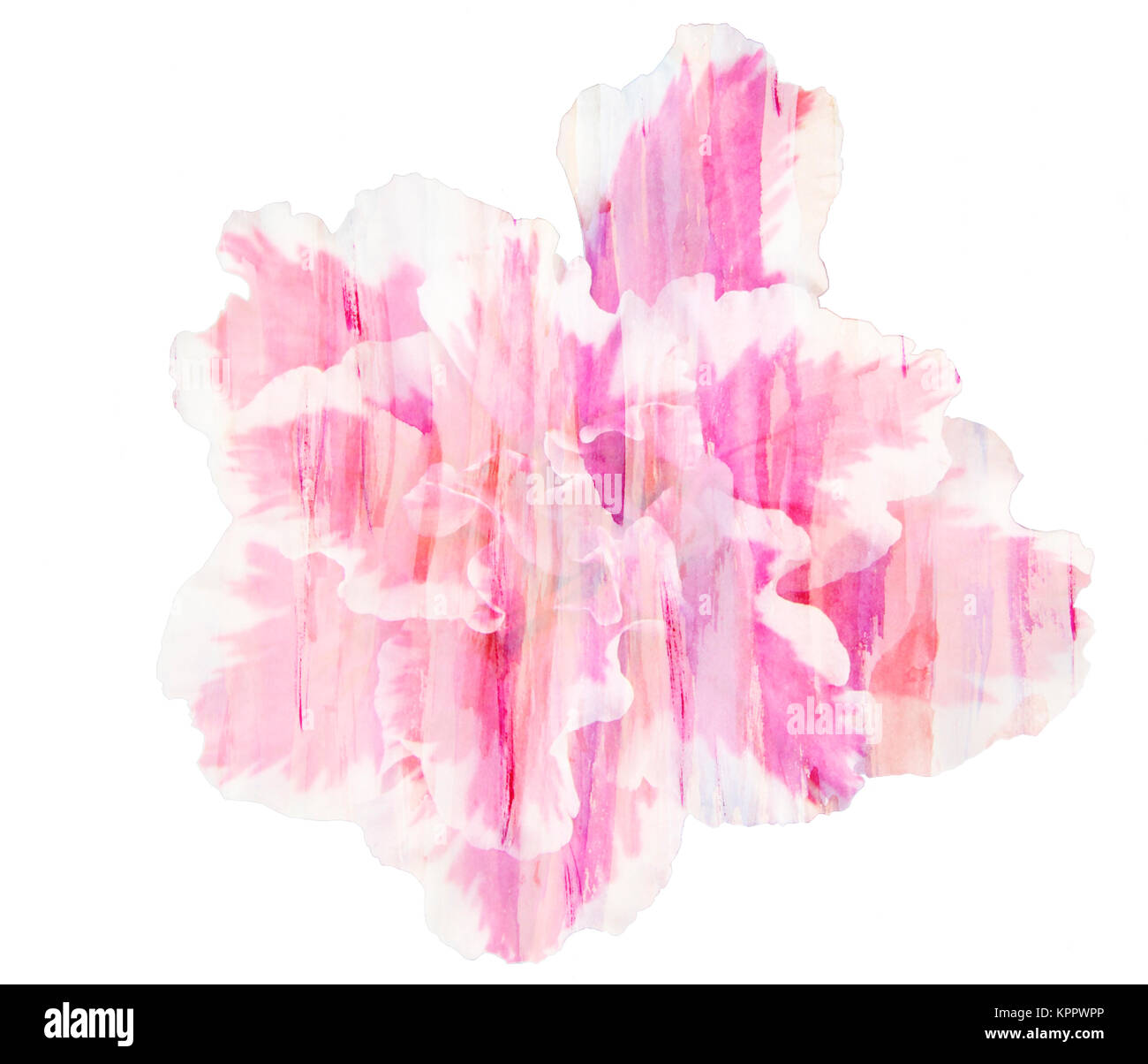 Schöne single rosa Blume Azalea, Aquarell Malerei Stockfoto