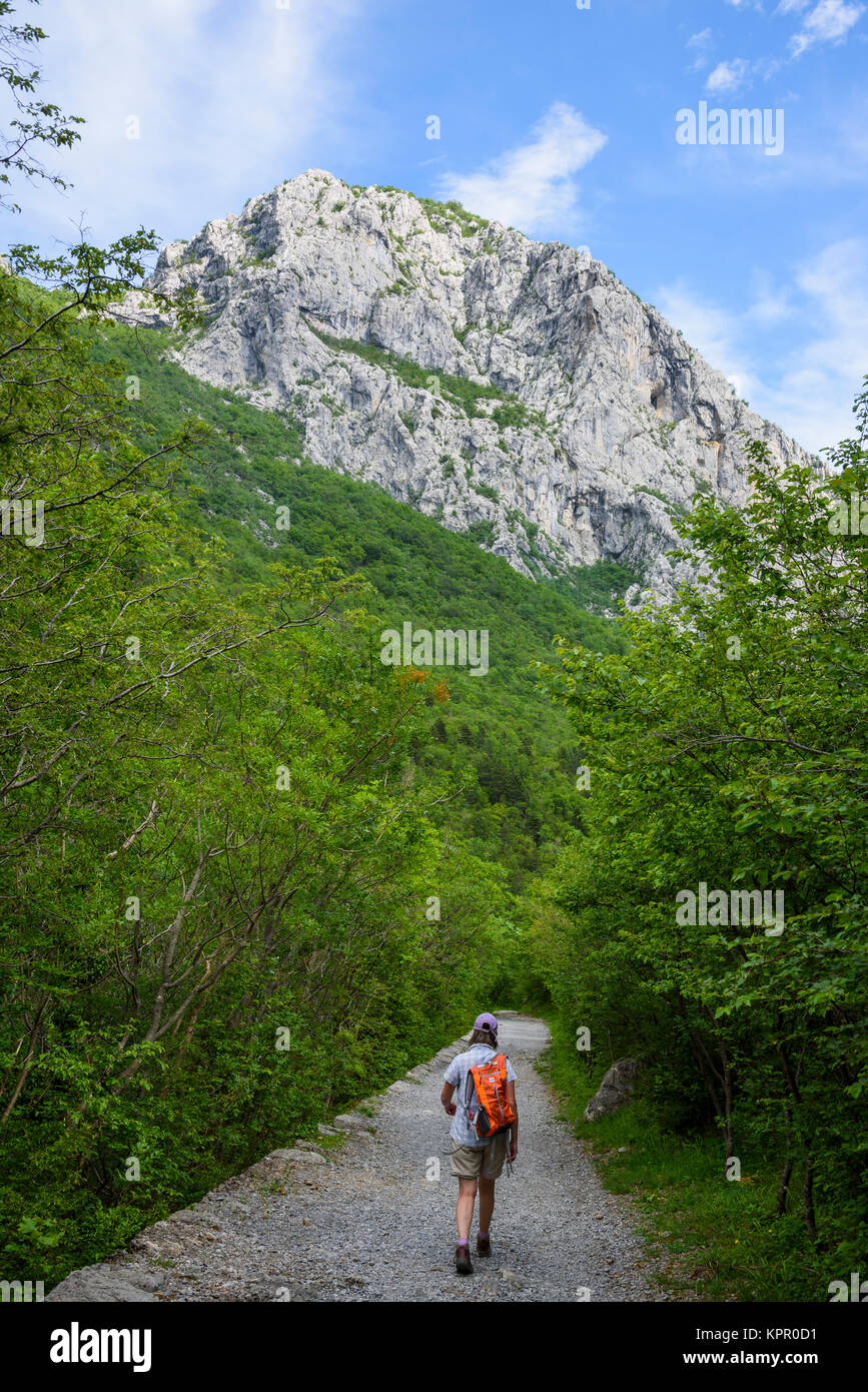 Trail durch den Kalkstein Schlucht, Nationalpark Paklenica, Kroatien Stockfoto