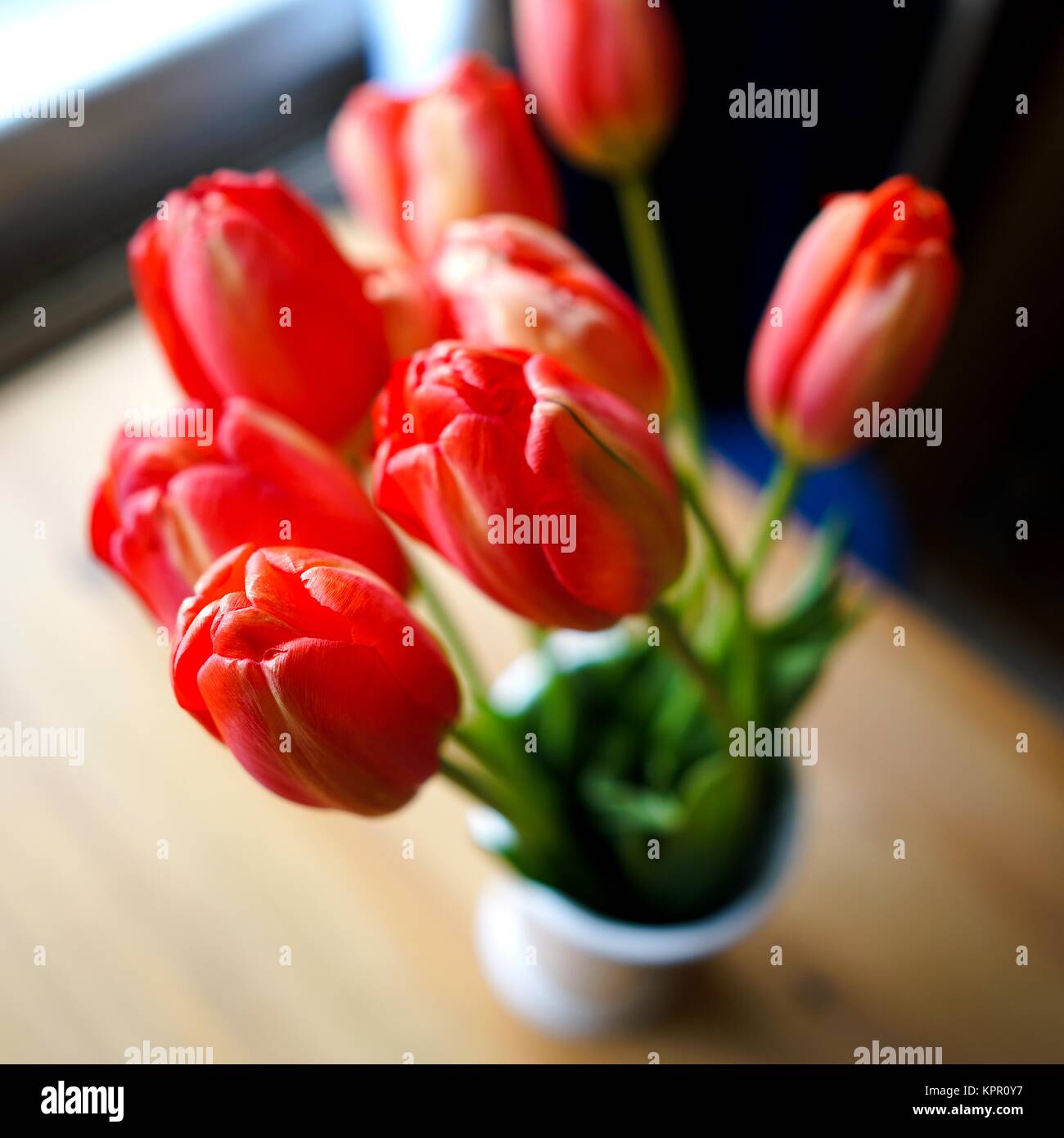 Ein Blumenstrauß aus Tulpen in einer Blumenvase Stockfoto