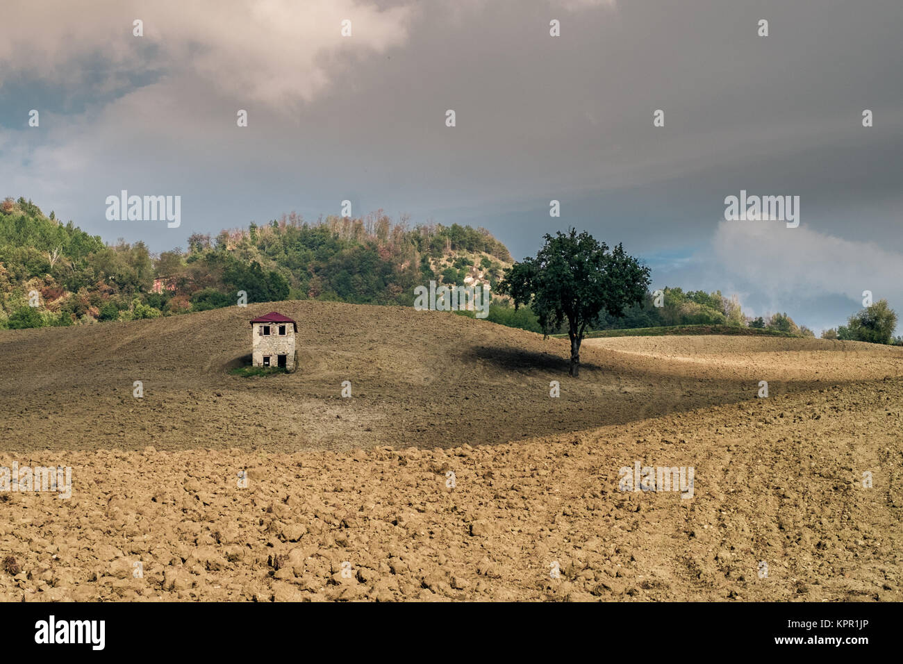 Kleine lustige Haus mitten in den Furchen des Feldes. Loiano, Bologna, Italien. Stockfoto