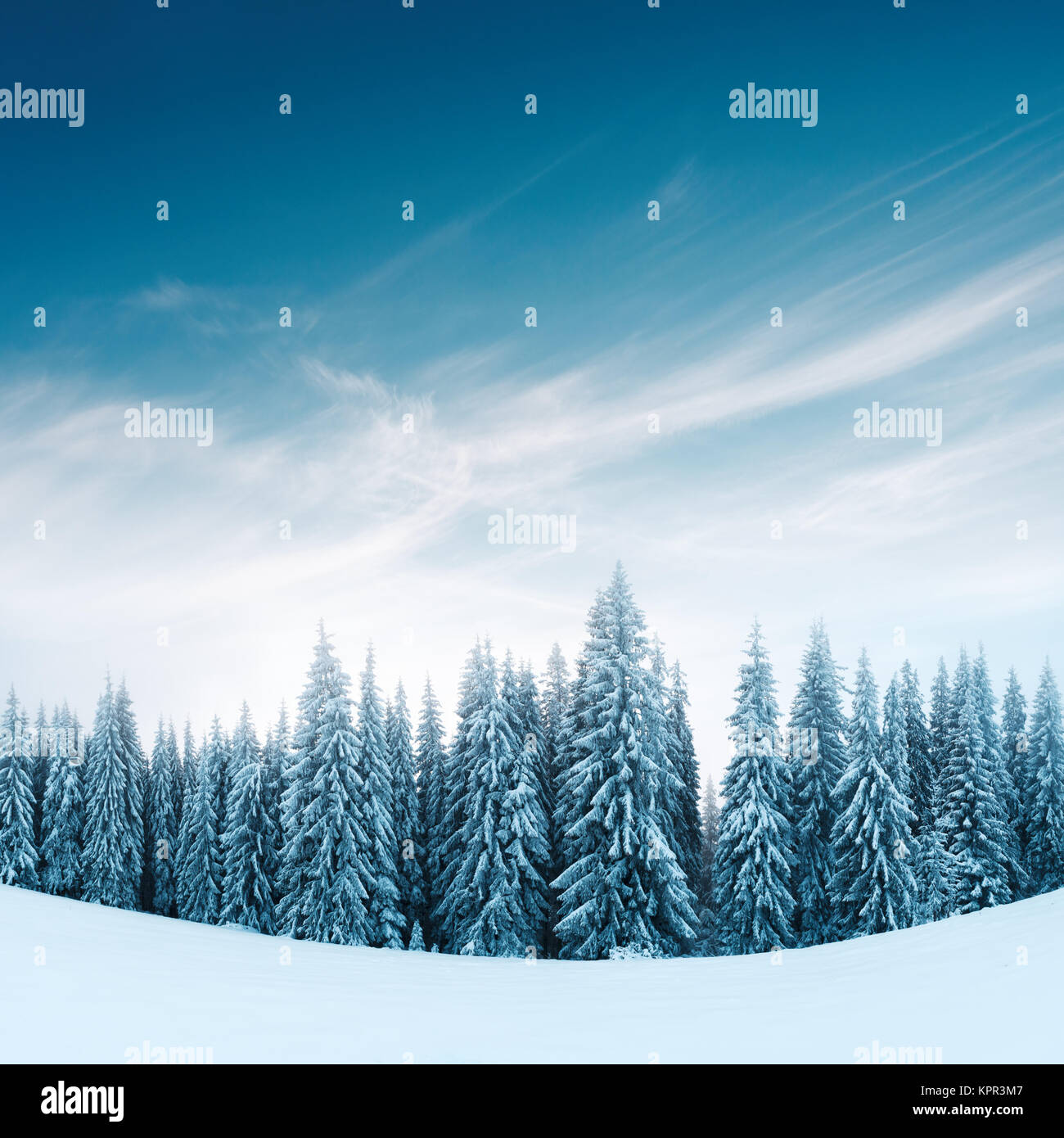 Traumhafte Winterlandschaft Stockfoto