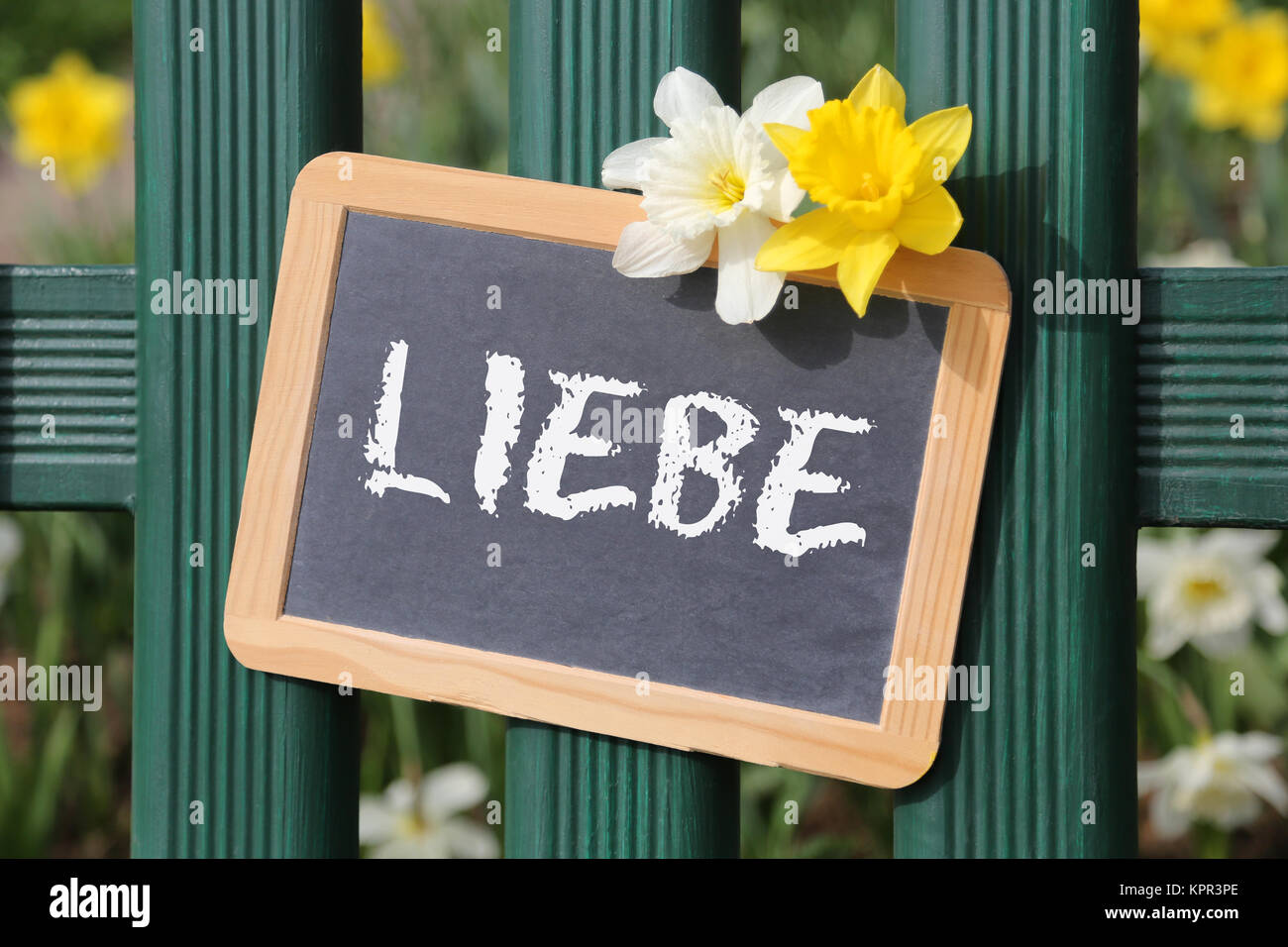 Liebe lieben Karte Garten mit Blumen Blume Tafel Schild in Zaun