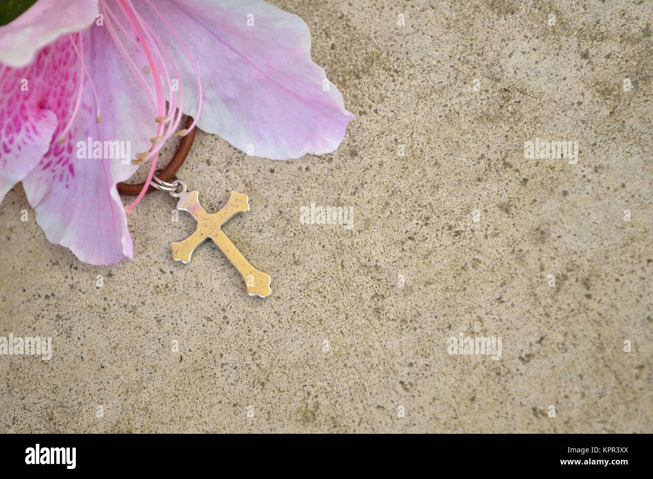 Kreuz und Blume Hintergrund gegen die konkrete Grau Stockfoto