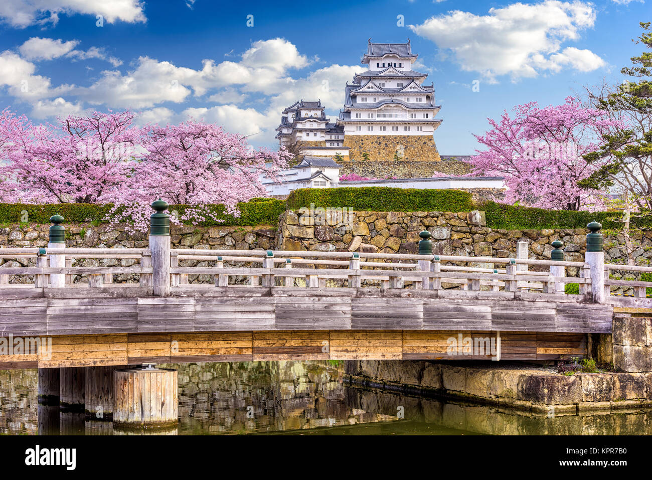 Himeji, Japan auf Burg Himeji in der Frühjahrssaison. Stockfoto