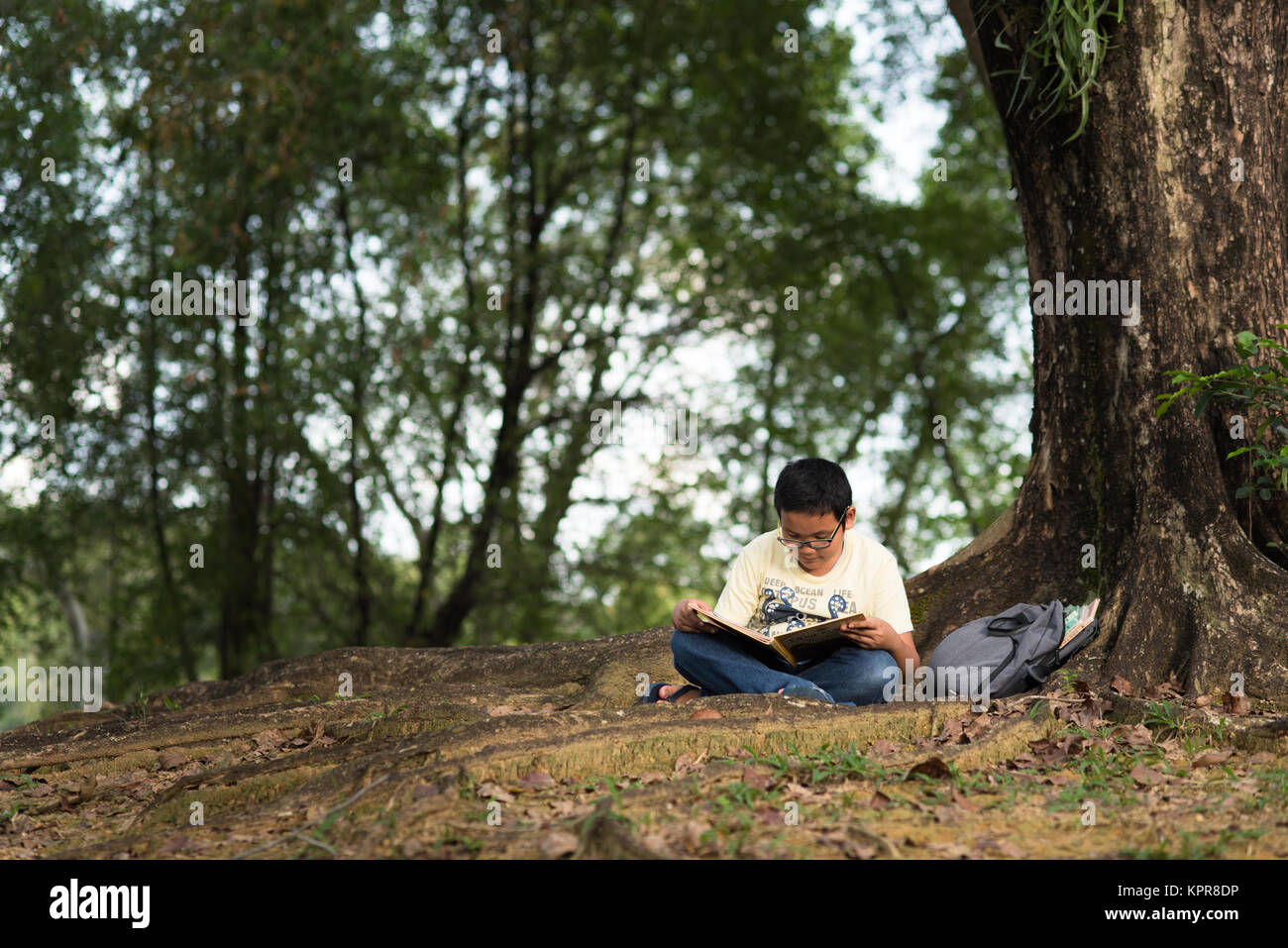 Junge asiatische Junge liest ein Buch unter einem Baum. Bildung Konzept Stockfoto