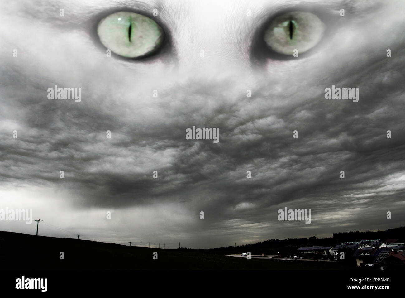 Der dunkle Himmel blickt in Sturmwolken auf die Augen unserer Katze herab Stockfoto
