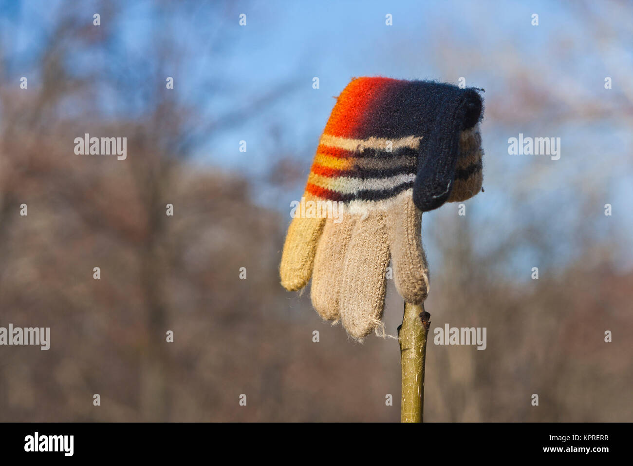 Verloren die Gestrickte Kind Handschuh Stockfoto
