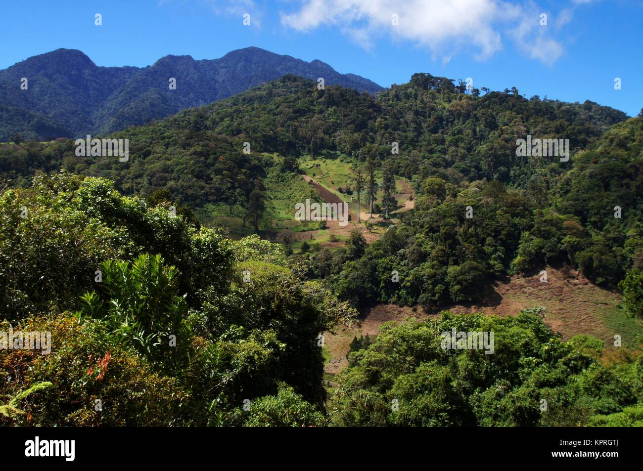 Brignt Tag Blick über die Berglandschaft in Panama. Stockfoto