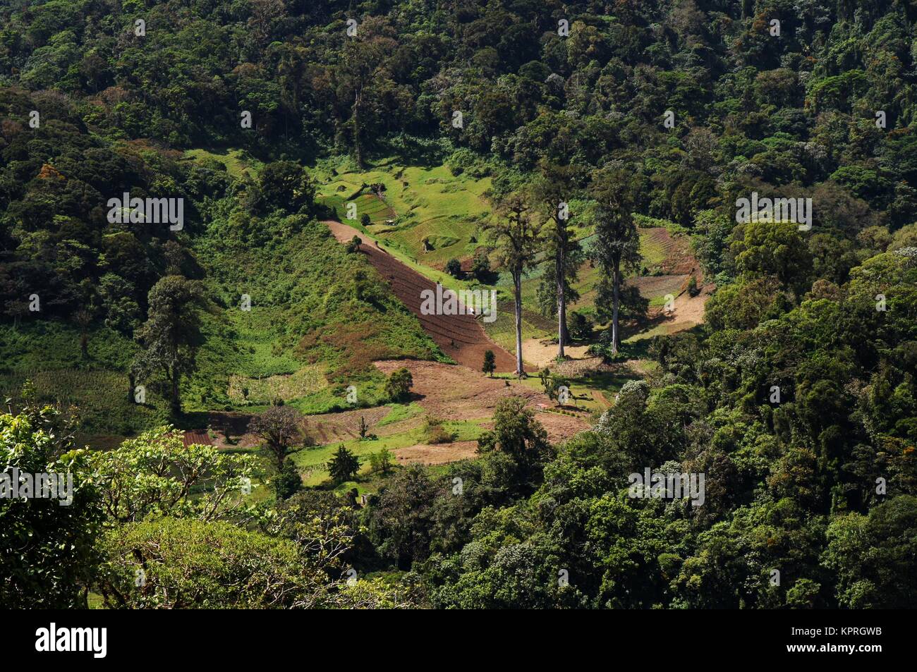 Brignt Tag Blick über die Berglandschaft in Panama mit landwirtschaftlichen Zone auf unebenem Boden Stockfoto
