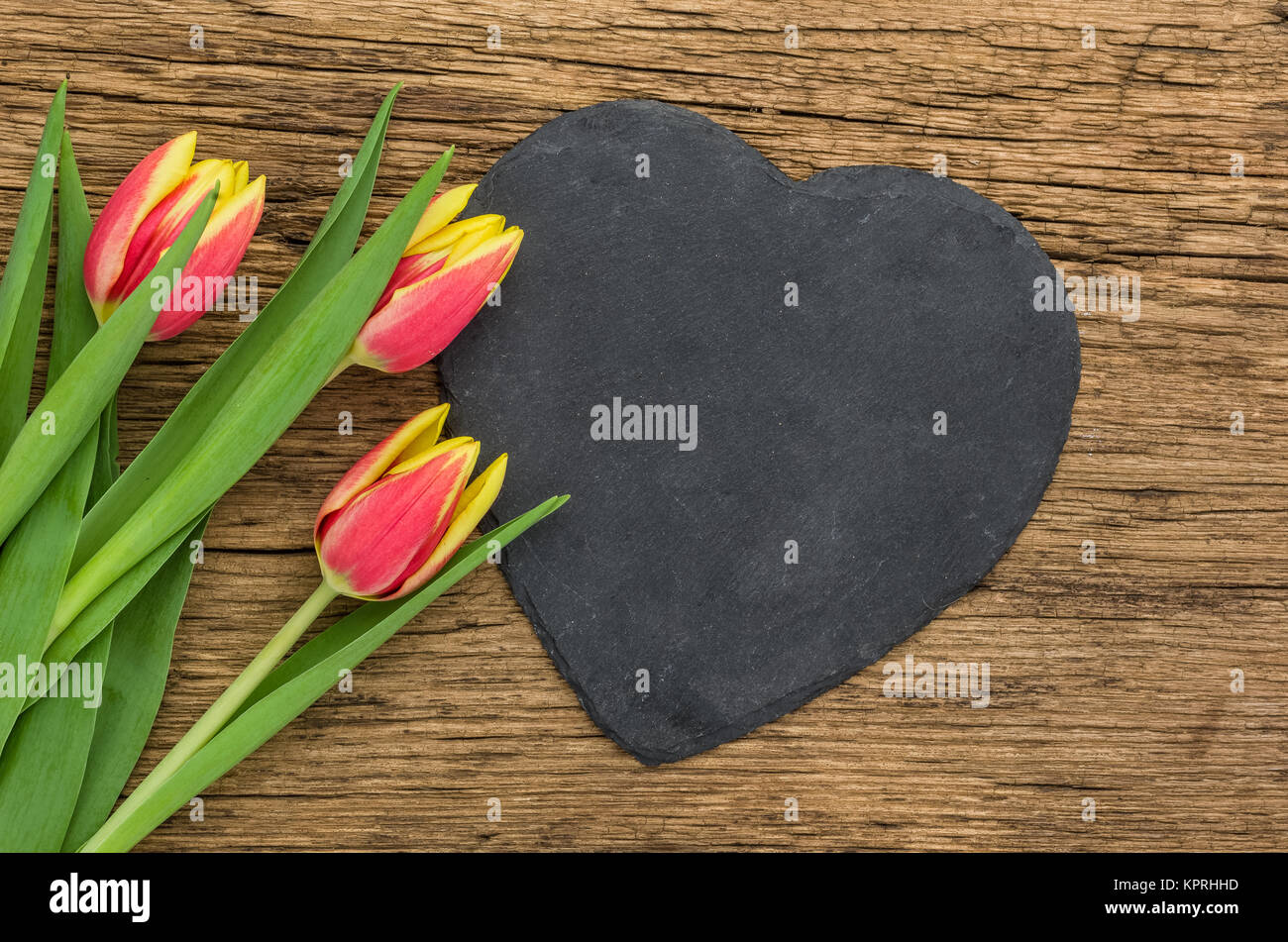 Rot-gelbe Tulpen mit Herzförmigen Schiefer Stockfoto