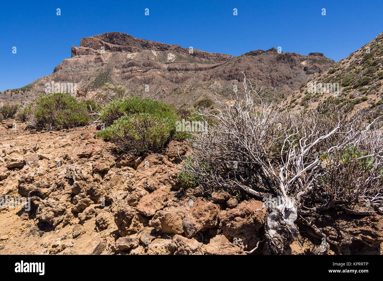 Landschaft auf der Kanarischen Insel Teneriffa Stockfoto