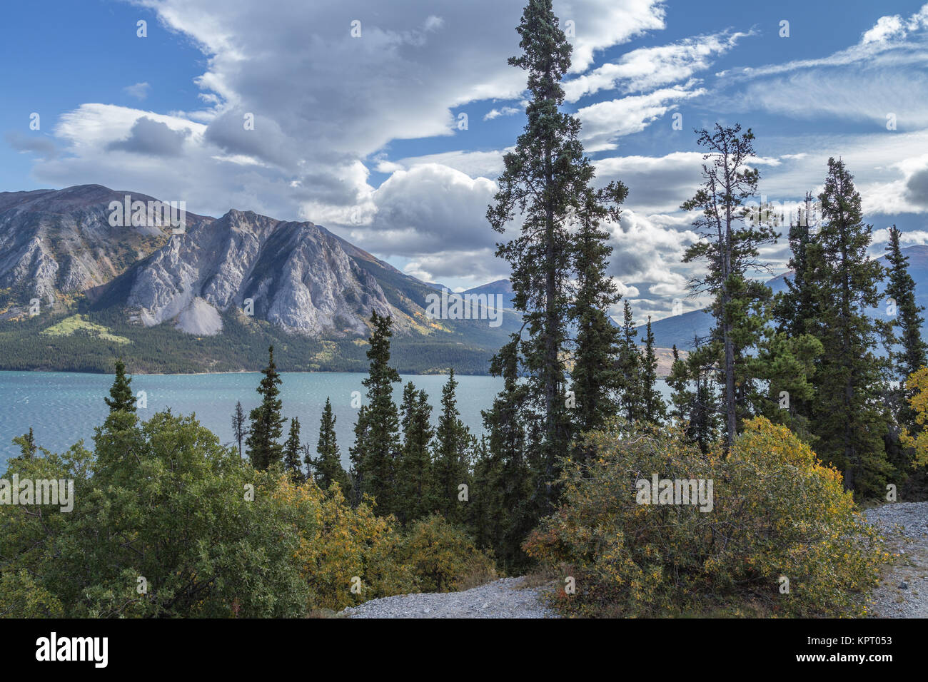 Tagish Lake in der Nähe von Carcross, südlichen Seen, Yukon, Kanada, im Herbst (Herbst) berühmt Teil der Route des Yukon Gold Rush Stockfoto