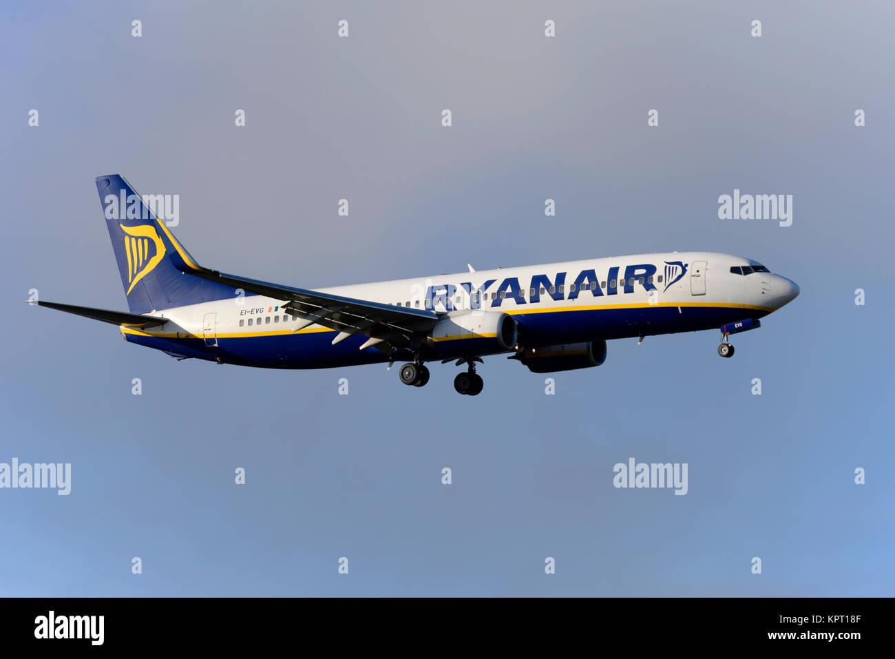 Ryanair Boeing 737 airliner Jet plane EI-EVG Landung am Flughafen London Stansted im blauen Himmel Stockfoto